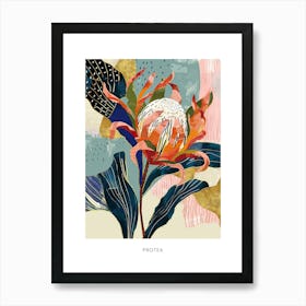 Colourful Flower Illustration Poster Protea 3 Art Print