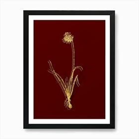 Vintage Nodding Onion Botanical in Gold on Red n.0062 Art Print