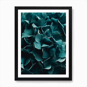 Cold Blossoms Art Print