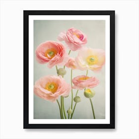 Ranunculus Flowers Acrylic Painting In Pastel Colours 3 Art Print