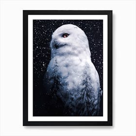 Snowy Owl And Forest Of Firs Art Print