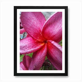 Pink flower photography Art Print