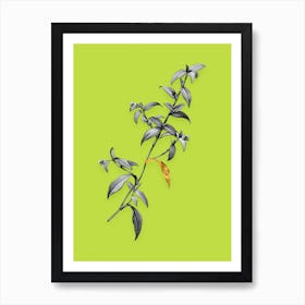 Vintage Birdbill Dayflower Black and White Gold Leaf Floral Art on Chartreuse n.0724 Art Print