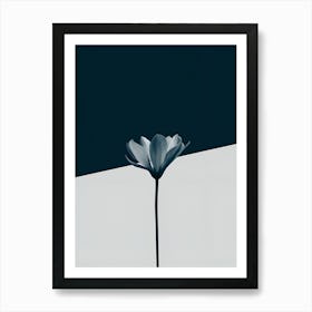 Black And White Flower Art Print