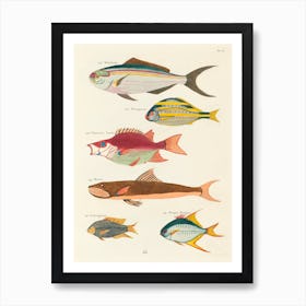 Colourful And Surreal Illustrations Of Fishes Found In Moluccas (Indonesia) And The East Indies, Louis Renard(56) Art Print