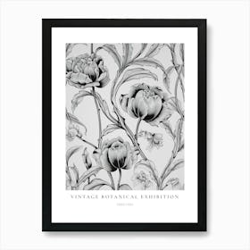 Sweet Pea 2 B&W Vintage Botanical Poster Art Print