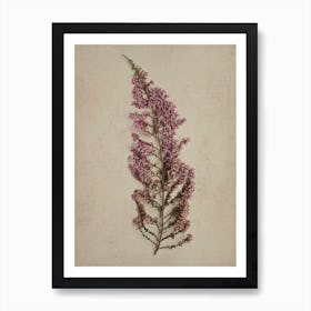 Fynbos 3 Art Print