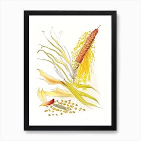 Corn Silk Spices And Herbs Pencil Illustration 4 Art Print