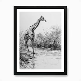 Giraffe In The River Pencil Drawing 1 Art Print