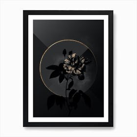 Shadowy Vintage Variegated French Rosebush Botanical on Black with Gold Art Print