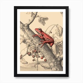 Red Tree Frog Vintage Botanical 5 Art Print