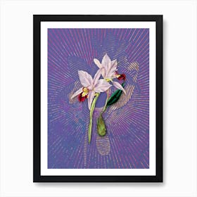 Vintage Two Edged Laelia Botanical Illustration on Veri Peri n.0746 Art Print