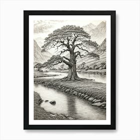 highly detailed pencil sketch of oak tree next to stream, mountain background 5 Art Print