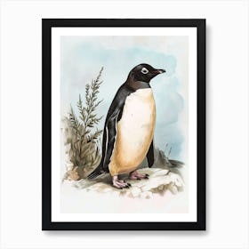 Adlie Penguin Carcass Island Vintage Botanical Painting 1 Art Print