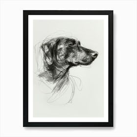 Spaniel Doberman Dog Charcoal Line 2 Art Print