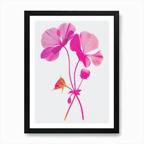 Hot Pink Nasturtium 1 Art Print