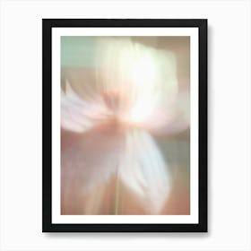 Flower Photography Abstract 02 Art Print