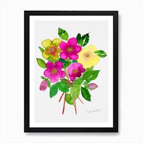 Hellebore Flowers Watercolor Artwork Art Print