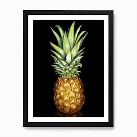 A pineapple on black background. Art Print