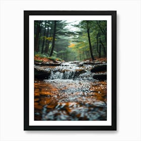 Stream In The Woods Art Print