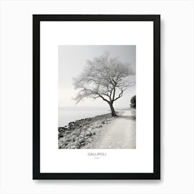 Poster Of Gallipoli, Italy, Black And White Photo 3 Art Print