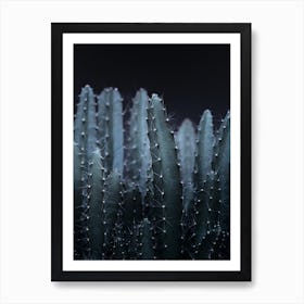 Dark Plant II Cacti in Art Print