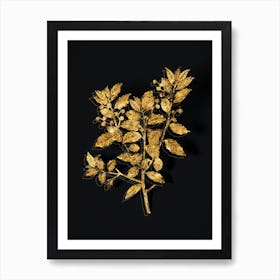 Vintage Evergreen Oak Botanical in Gold on Black Art Print