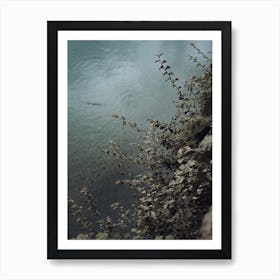 Blue Green Plant And River Scene St Sebastian, Spain Art Print