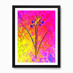 Spanish Iris Botanical in Acid Neon Pink Green and Blue n.0247 Art Print