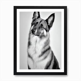 Belgian Tervuren B&W Pencil Dog Art Print