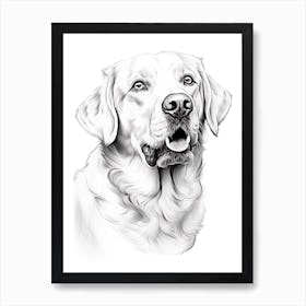 Labrador Retriever Dog, Line Drawing 3 Art Print