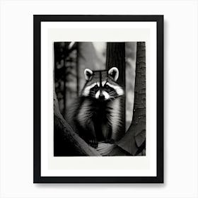 Forest Raccoon Vintage Photography 2 Art Print