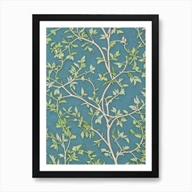 European 2 Mountain Ash tree Vintage Botanical Art Print