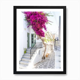 Bougainvillea In Paros Art Print