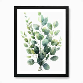 Eucalyptus Art Print