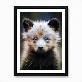 Color Photograph Of A Bear Cub Art Print