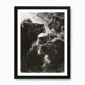 Barbary Lion Charcoal Drawing Interaction 3 Art Print