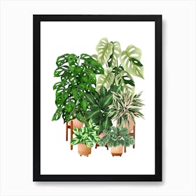 Plant Collection 1 Art Print