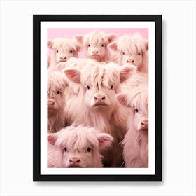 Multiple Baby Highland Cows Pink Realistic Photography Affiche