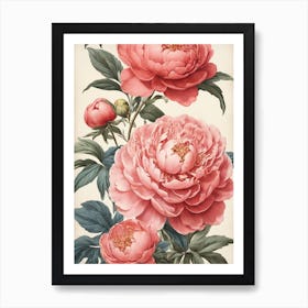 Pink Peonies 2 Art Print