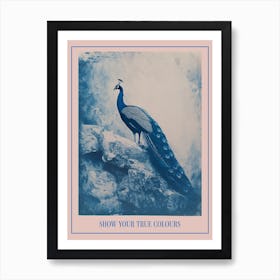 Navy Blue Peacock Portrait Cyanotype Inspired 2 Poster Art Print