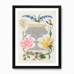 Grape Hyacinth, Wasplike Insect, Eglantine, Austrian Brier, And Magpie Moth From Mira Calligraphiae Monumenta, Joris Hoefnagel Art Print