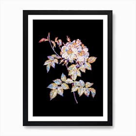 Stained Glass White Rosebush Mosaic Botanical Illustration on Black n.0119 Art Print