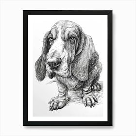 Basset Hound Line Sketch 3 Art Print