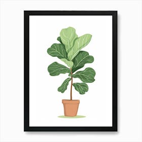 Fig Tree 5 Art Print