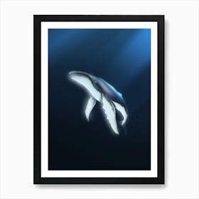 Humpback Whale Art Print