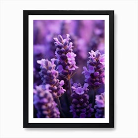 Lavender Flowers Art Print