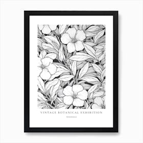 Periwinkle B&W Vintage Botanical Poster Art Print