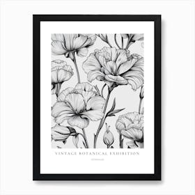 Geranium 2 B&W Vintage Botanical Poster Art Print