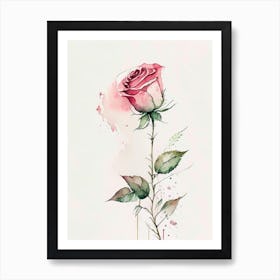 Rose Herb Minimalist Watercolour 3 Art Print